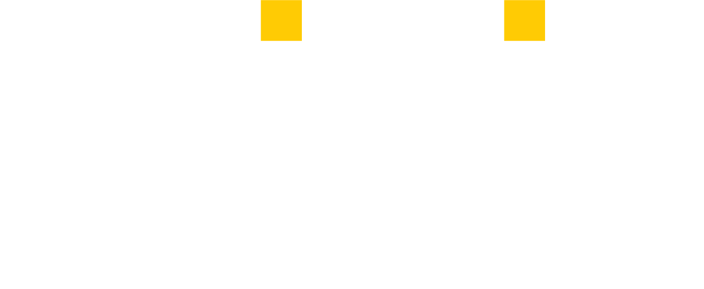 Bijnis